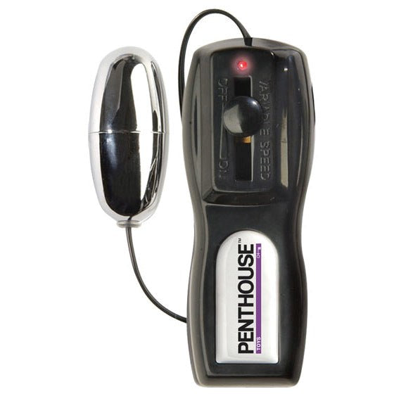 Penthouse Pet Collection Dani Daniels Vibrating Pussy and Ass - - Masturbators and Strokers