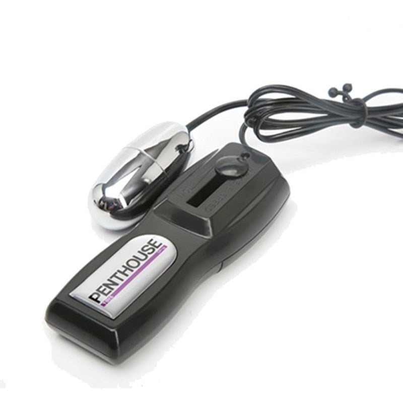 Penthouse Pet Collection Jenna Rose Vibrating Pussy and Ass - - Masturbators and Strokers