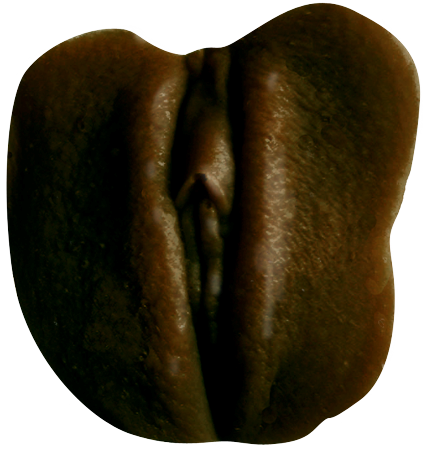 Empire Labs Clone A Pussy Edible Milk Chocolate Kit Complete Molding System - - Moulding Kits