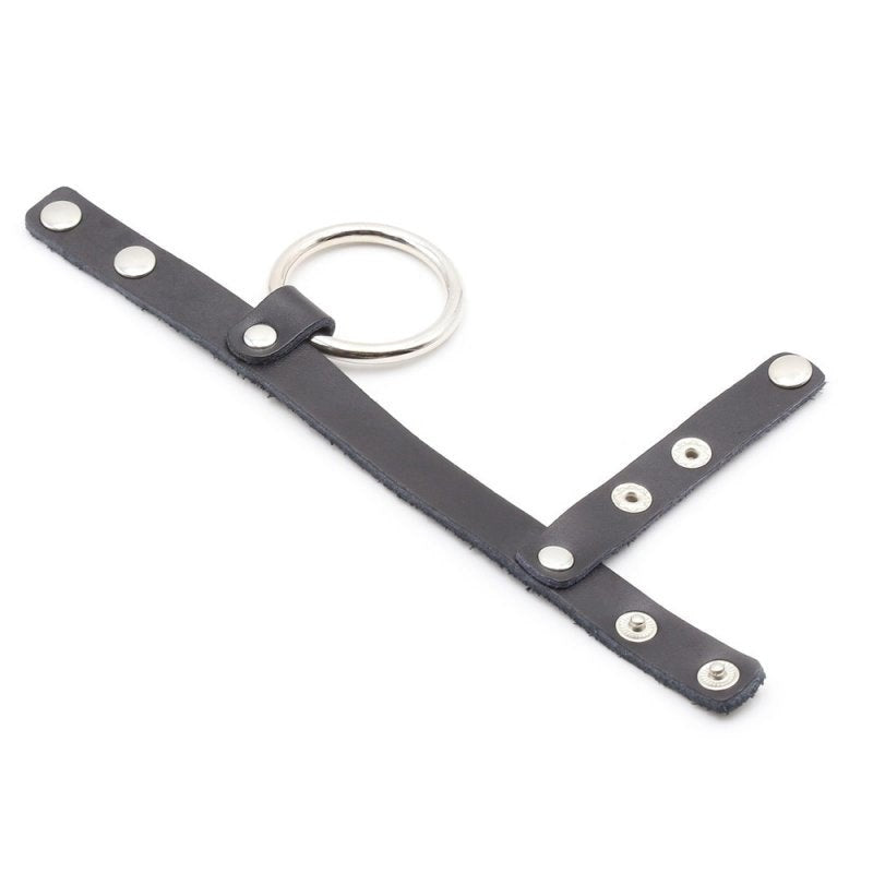 Cock Ring Harness With Ball Divider Rings Worth Wearing - - Ball and Cock Toys