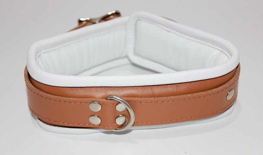 BDStyle Dungeon Delights Asylum Collar Padded Premium BDSM Restraint - - Collars and Leads