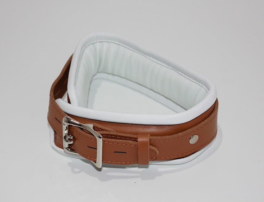 BDStyle Dungeon Delights Asylum Collar Padded Premium BDSM Restraint - - Collars and Leads