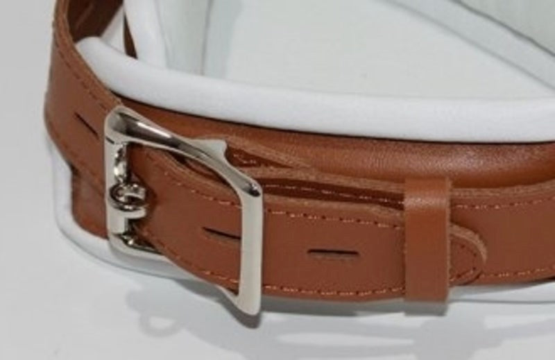 BDStyle Dungeon Delights Asylum Collar Padded Premium BDSM Restraint - - Collars and Leads