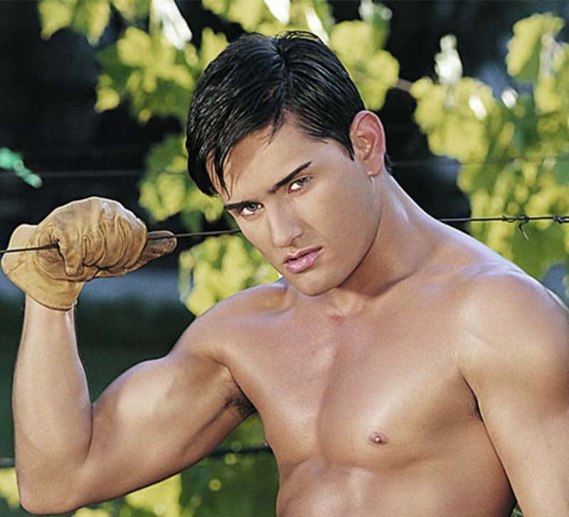 Icon Brands Falcon Super Cock Jeff Palmer Realistic Dildo with Suction Cup - - Realistic Dildos