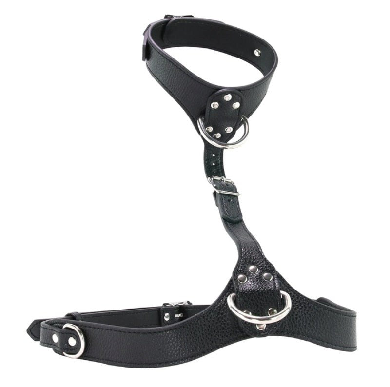 XR Brands Female Chest Harness Premium PU Leather with Chrome Hardware - - Her Fetish