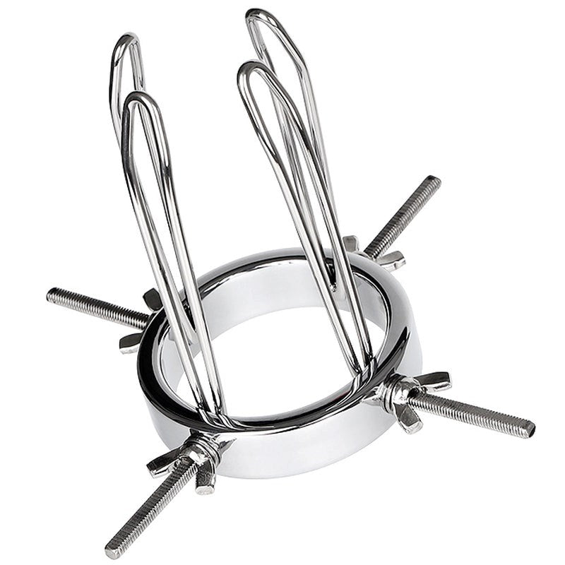 BDStyle Gynaecology Anal Vaginal Giant Adjustable Speculum Medical Steel - - Dental and Clinical