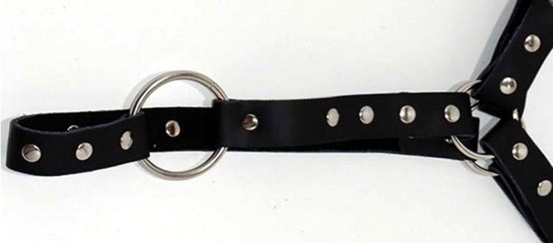 Leather Waist Harness with Cockring Get More Naughty Fun - - Cuffs And Restraints