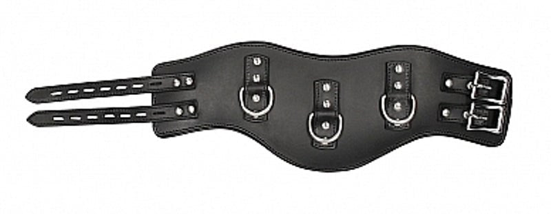 Shots Toys Pain Heavy Duty Padded Posture Collar Premium Leather BDSM - - Collars and Leads