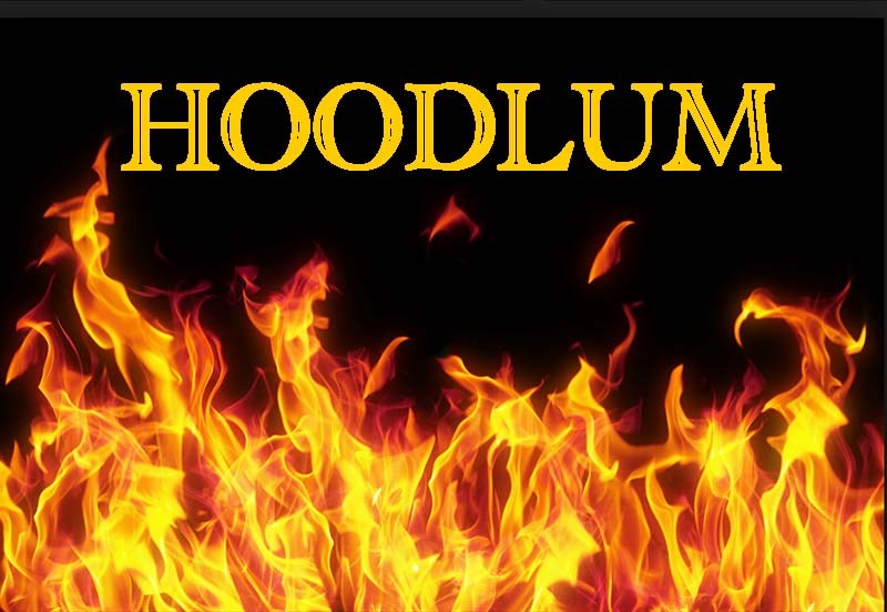 NANMA Corporation Hoodlum 13 Veiny Dong Flesh with Suction Cup - - Realistic Dildos