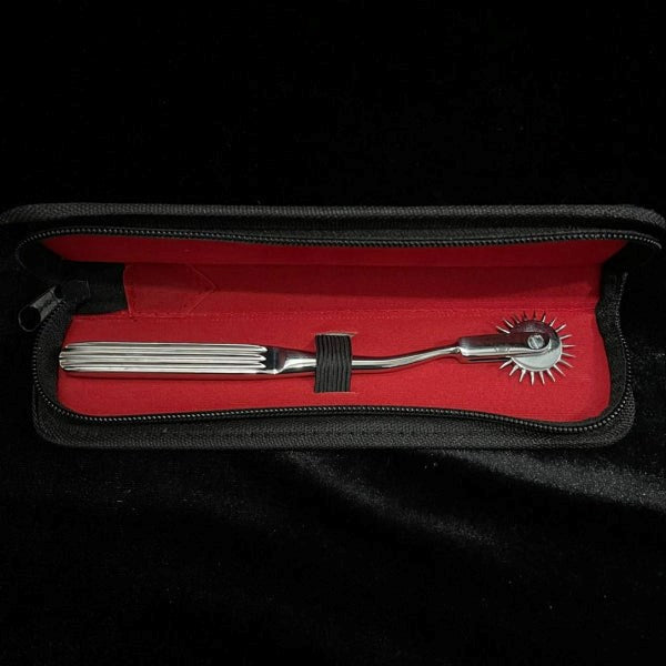 Spartacus Enterprises - Hypoallergenic Stainless Steel Wartenburg Wheel - - Electro Sex