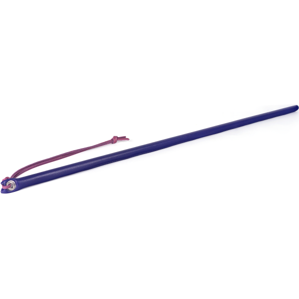 SPARTACUS Leather Wrapped Cane 24inch - - Whips And Crops