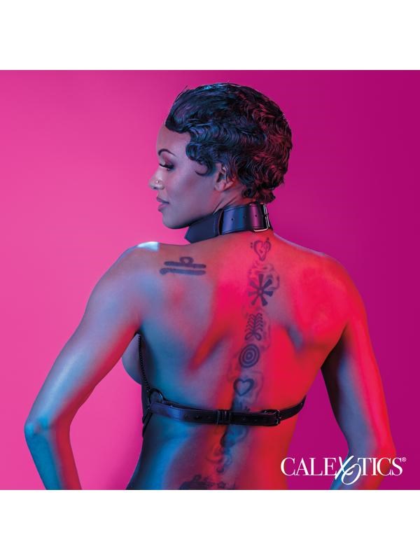 California Exotics Euphoria Collection Multi Chain Fetish Collar Harness - - Collars and Leads