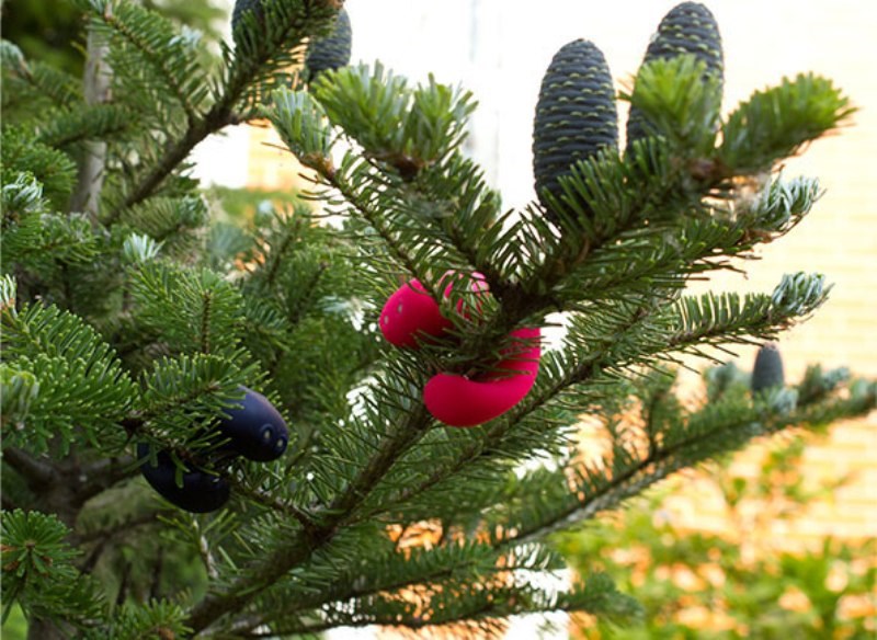 Gvibe Gring Finger Vibrator Waterproof Remote Controlled Clitoral Stimulation - - Waterproof Vibrators