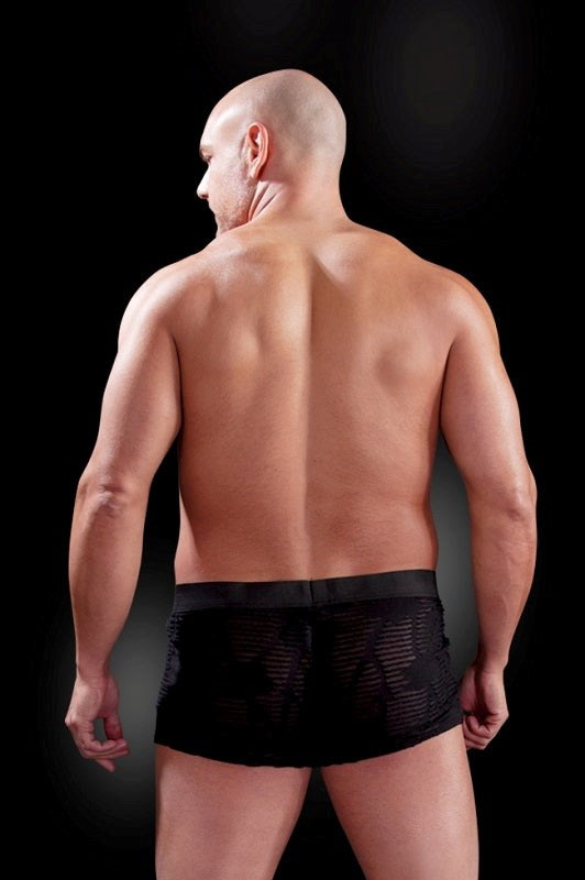 Pipedream Products Fetish Fantasy Mens Fetish Play See Thru Sexy Boxer - - Mens Briefs And Boxers