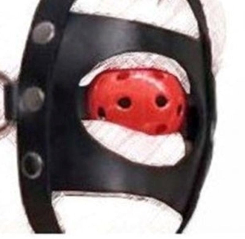 BDStyle Piss Urinal With Cock Cage Advanced BDSM Control Device - - Bondage Gags and Bits