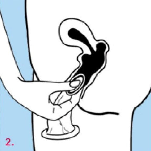 Four Seasons Femidom Female Condoms 3 Pack Polyurethane Barrier Protection - - Condoms