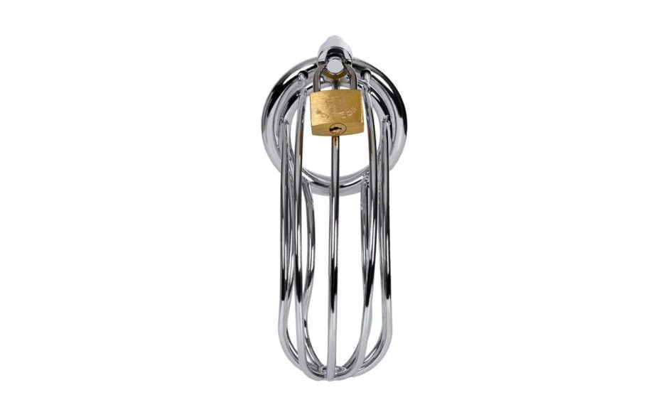 ToyFa Metal Silver Metal Birdcage Cock Cage with Lock and Keys - - Male Chastity