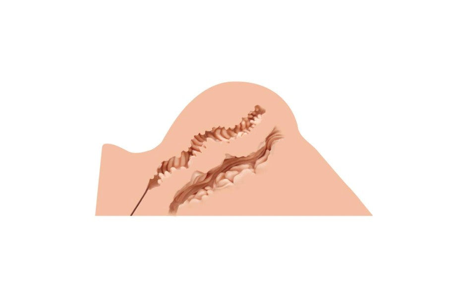 Naked Factory Hannah Realistic Looking Butt Stroker with Dual Channel Design - - Masturbators and Strokers