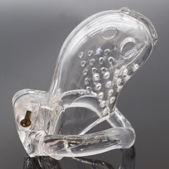 BDStyle Goldfish Male Chastity Cocklock - - Male Chastity