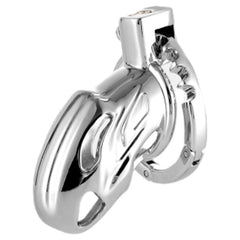 BDStyle Adjustable Ring and Invisible Vertical Lock Cock Cage - - Male Chastity