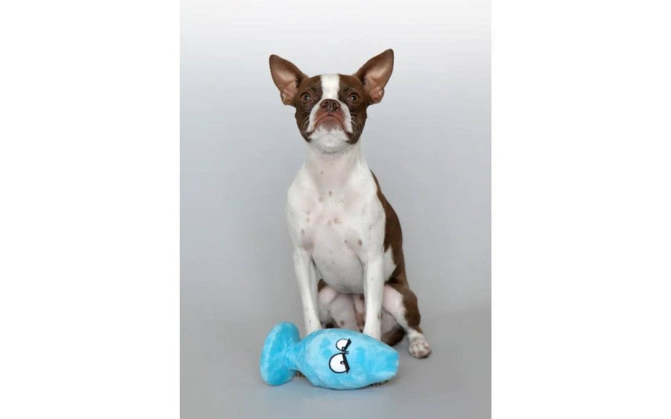 C1R Releasing Boneyard Toys Scruffy Pet Toys McRuff Butt Plug Premium Design - - Sex Games, Coupons and Tricks