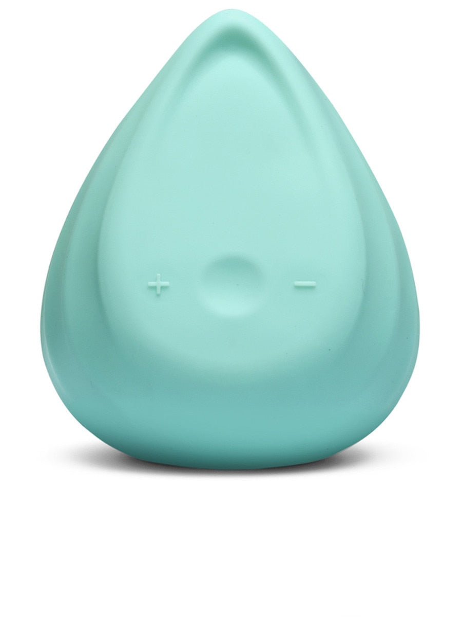 Biird Evii Dual Motors 8 Functions Clitoral Vibrator with Wireless Charging - - Clit Ticklers and Pulsators