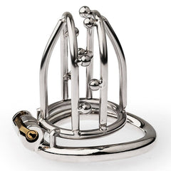 BDStyle Chastity Opening Cage With Chastity Lock Bent Ring - - Male Chastity