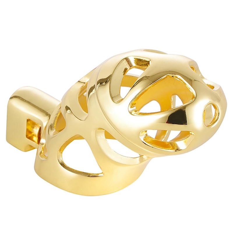 BDStyle Gold Chastity Cage Locked with 3 Active Sizes Rings - - Male Chastity