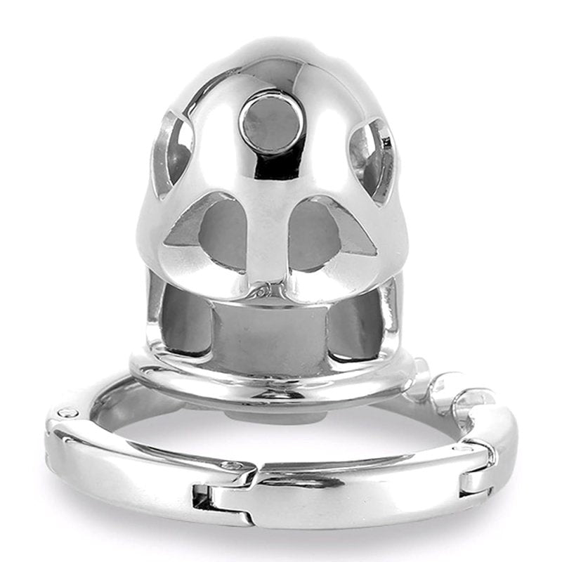 BDStyle Adjustable Ring and Invisible Vertical Lock Cock Cage - - Male Chastity