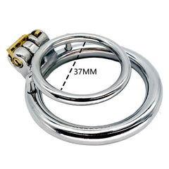 BDStyle Double Ring Male Chastity Lock Cage With Bent Ring - - Male Chastity