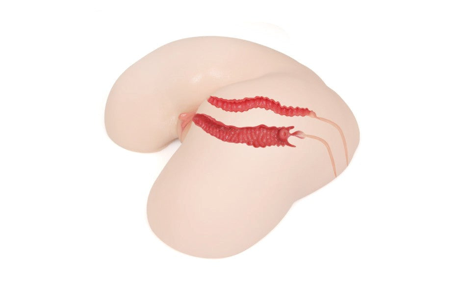 Kokos Maria Onahole 3 Ultra Realistic Male Masturbator Life Size TPE - - Realistic Butts And Vaginas