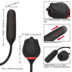 French Kiss Elite Romeo 10 Function Personal Clitoral Massager Black - - Clit Ticklers and Pulsators