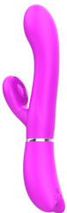 Pretty Love USB Rechargeable Rabbit Style Clitoris Vibrator Purple - - Rabbit Vibrators