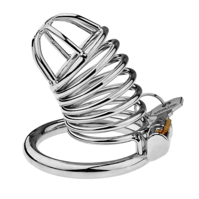 BDStyle Male Chastity Bird Cock Cage With Hide Lock - - Male Chastity
