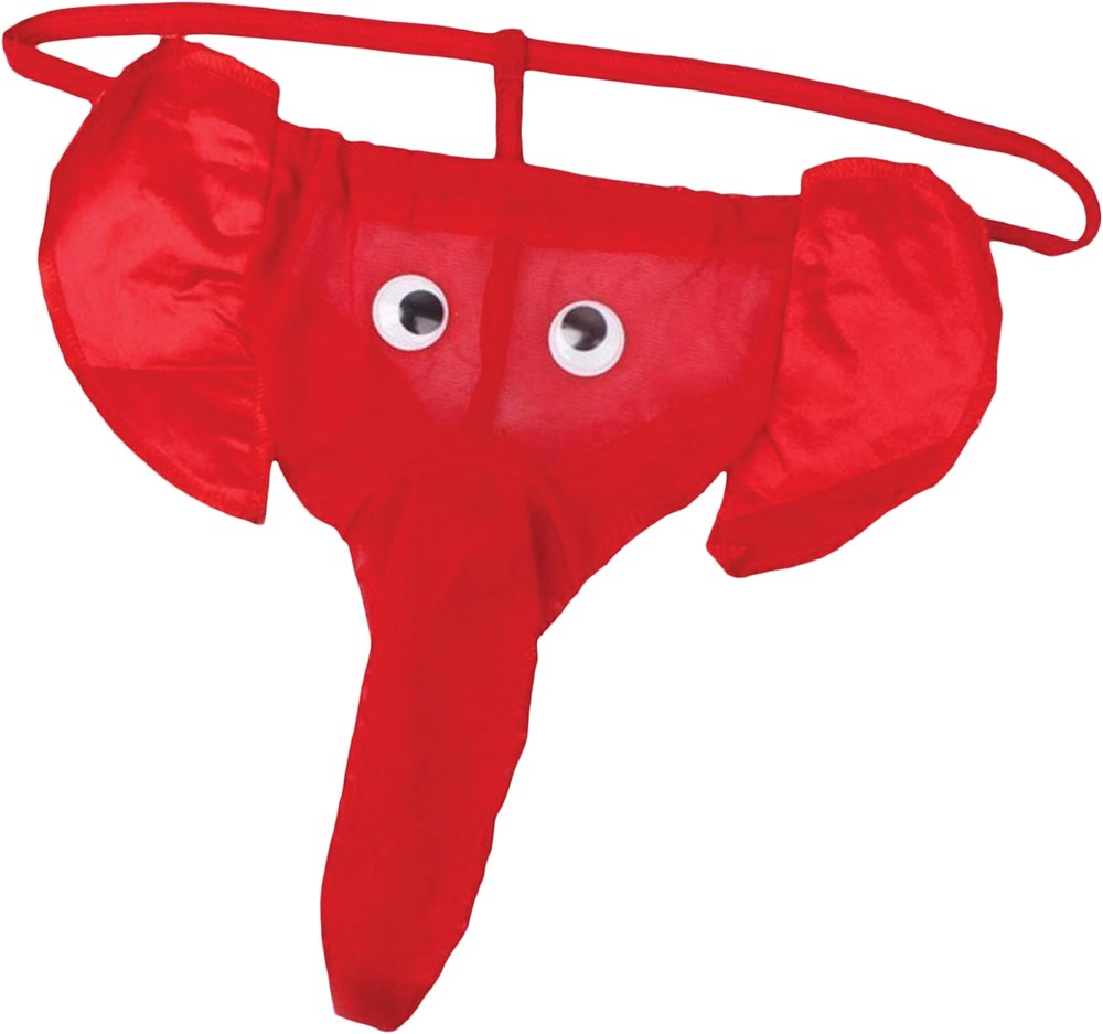 Hott Products Cotton with Stretch Waistband Elephant Thong - - Party Gifts and Novelties