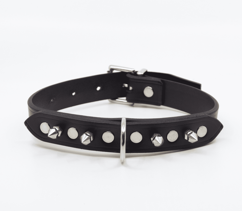 Love In Leather BDSM Collar With Short Dog Spikes - - Collars and Leads