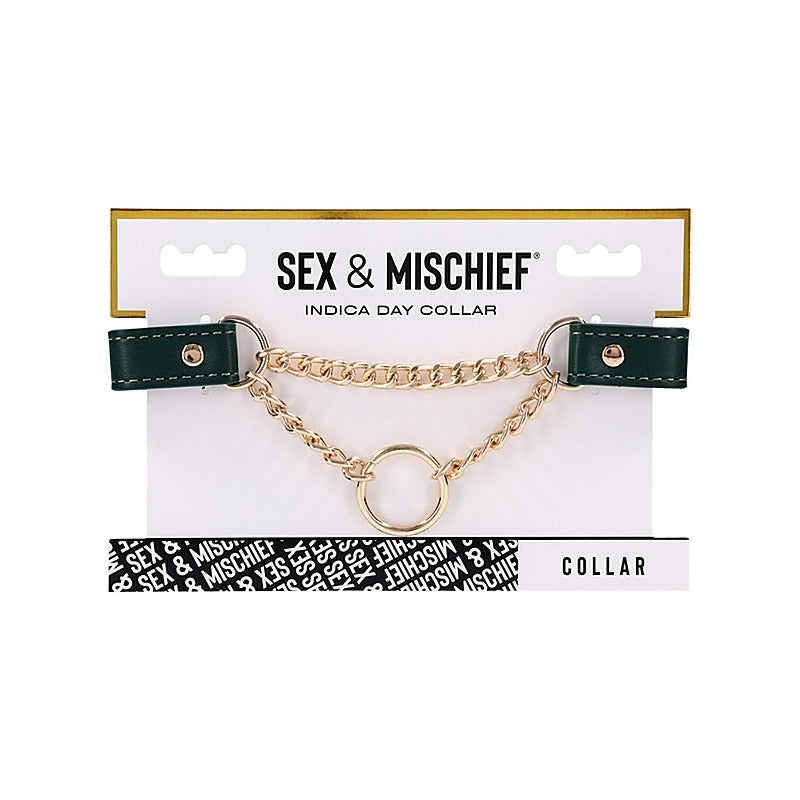 Indica Day Faux Leather Bondage Collar by Sportsheets - Collars and Leads