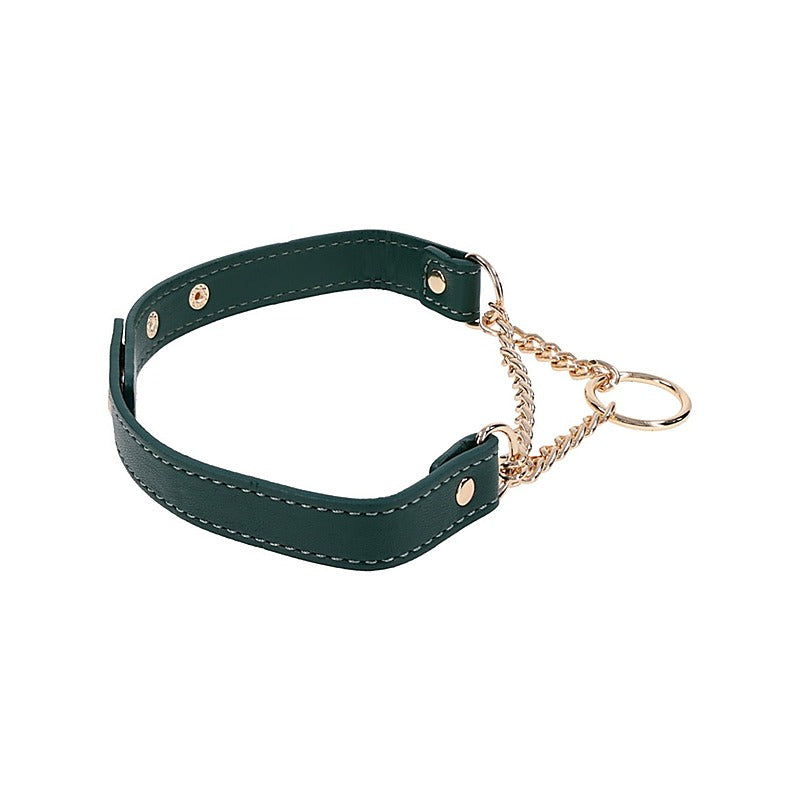 Indica Day Faux Leather Bondage Collar by Sportsheets - Collars and Leads