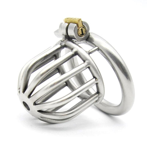 BDStyle Asylum Chastity Cage with Multiple Ring Sizes - Male Chastity