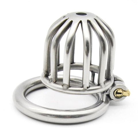BDStyle Asylum Chastity Cage with Multiple Ring Sizes - Male Chastity