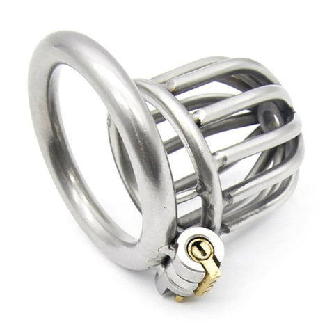 BDStyle Asylum Chastity Cage with Multiple Ring Sizes - Male Chastity