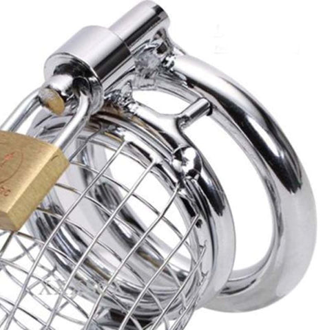 BDStyle Caged Dragon Male Chastity Device Silver Stainless Steel Cage - Male Chastity