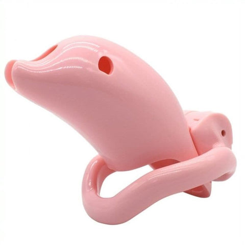 BDStyle Dolphin Male Chastity Device Ergonomic Design Multiple Ring Sizes - Male Chastity