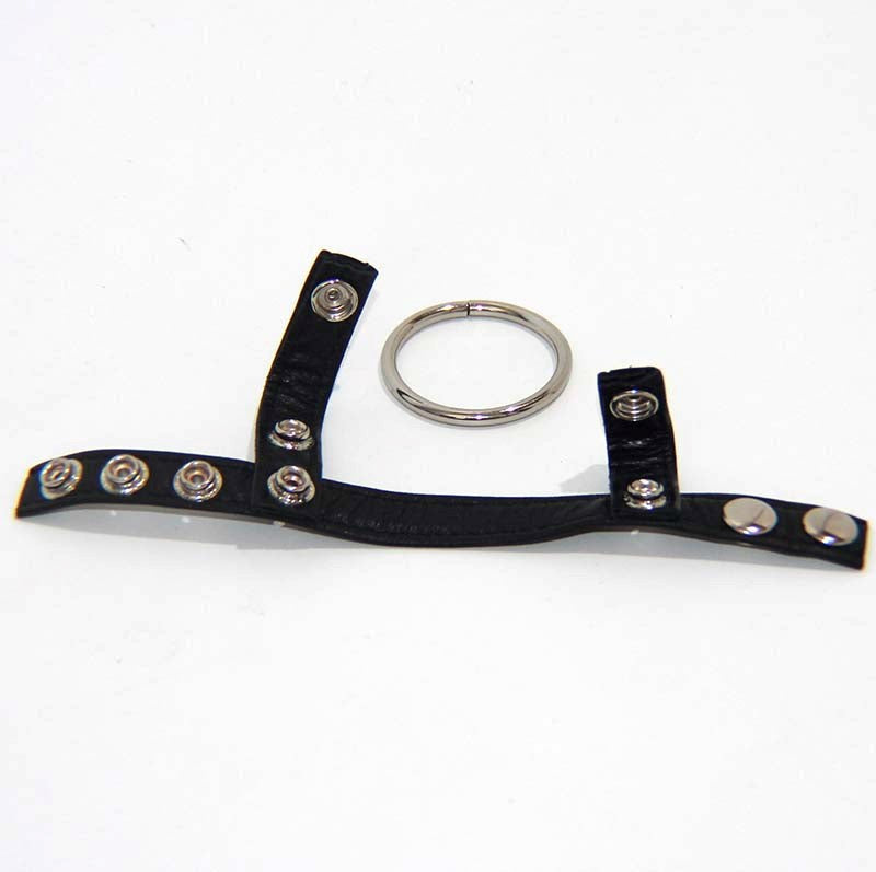 Leather Testicle & Metal Penis Rings - - Cock Rings
