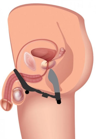 Epic Triple Stim Anal Plug Cock Ring - Cock Rings