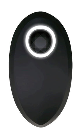 Evolved Backdoor Bliss - Heighten Your Intimate Pleasure - Butt Plugs