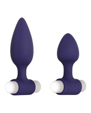 Evolved Dynamic Duo - Anal Vibrators
