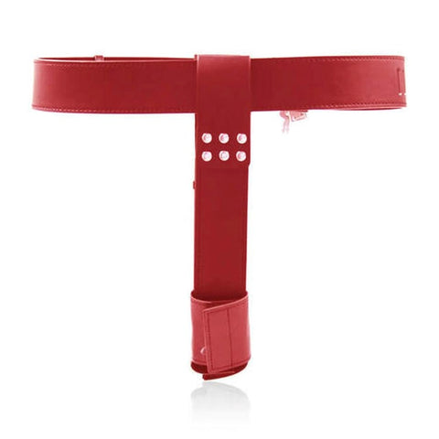 BDStyle Female Chastity Belt With Double Vibration Plug and Lock - Male Chastity