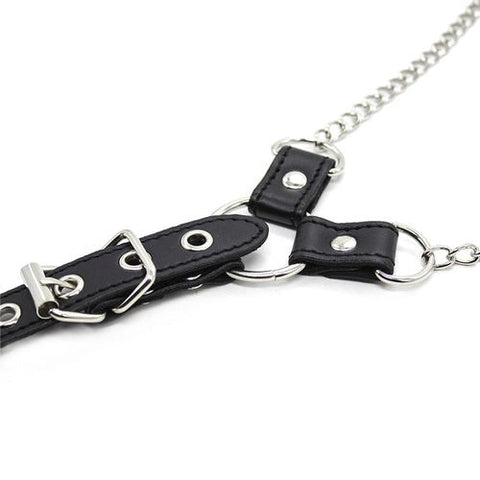 BDStyle Nipple Clamps And Cock Ring with Steel Construction - Cock Rings