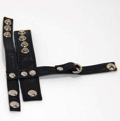 BDStyle Strap on Cock and Ball Harness with D Ring Leash Attachment - Male Chastity